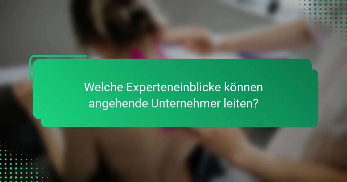 Welche Experteneinblicke können angehende Unternehmer leiten?