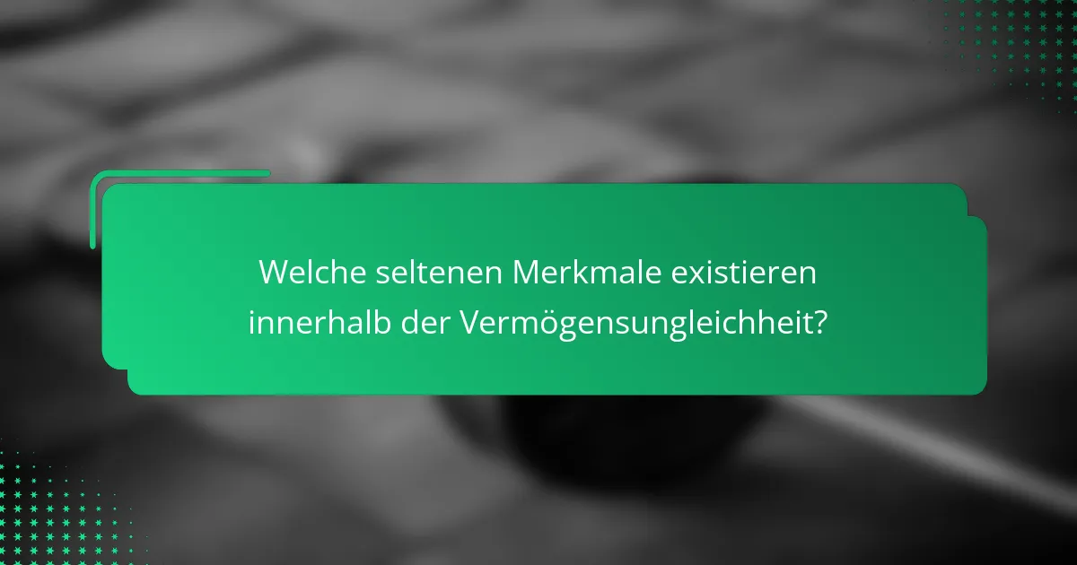 Welche seltenen Merkmale existieren innerhalb der Vermögensungleichheit?